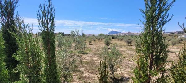 Terreno en Zona l'Olla, Altea photo 1