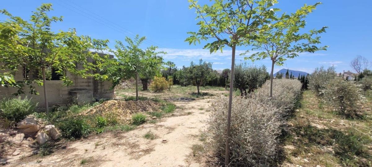 Terreno en venta en Altea, Alicante photo 5