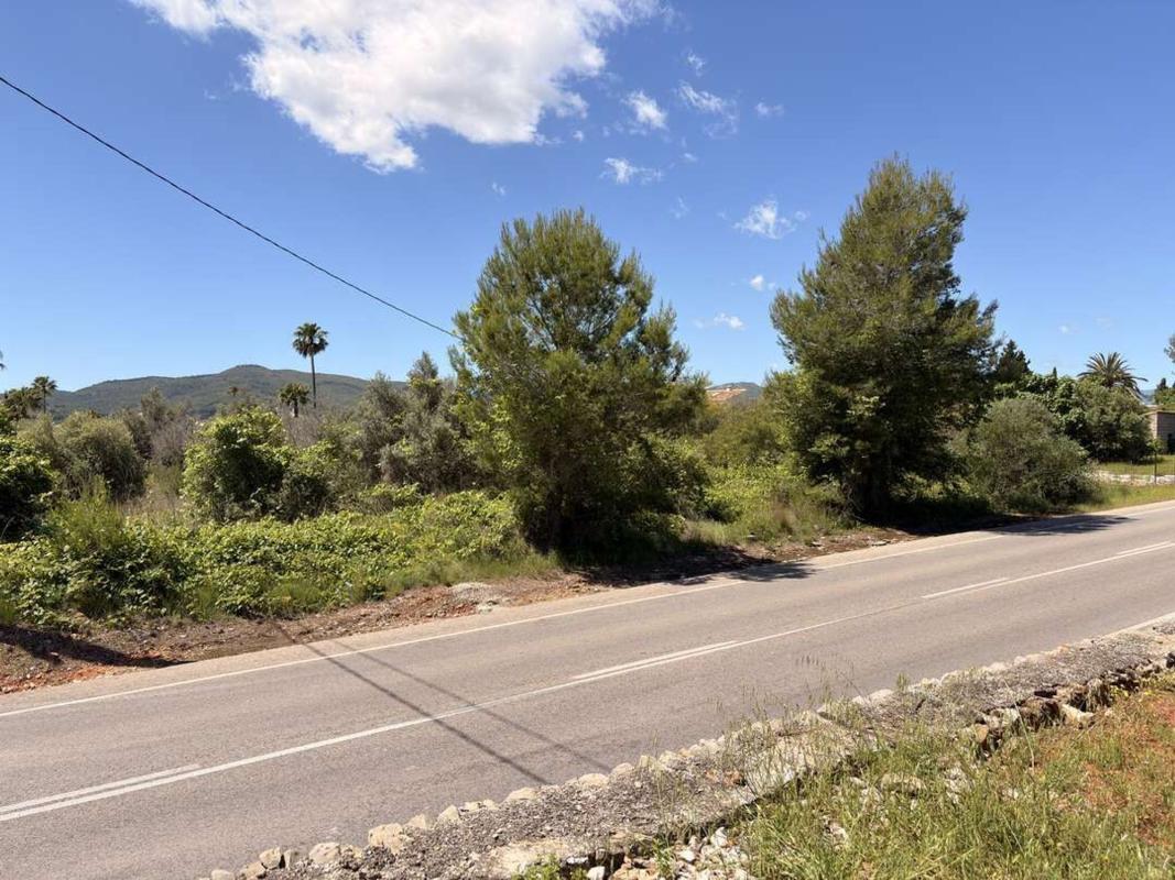 Terreno en venta en Jávea/Xàbia, Alicante photo 5
