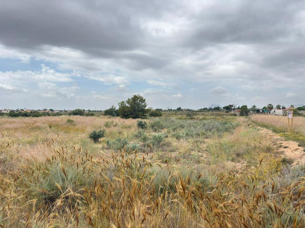 Terreno en venta en San Vicente del Raspeig, Alicante photo 1