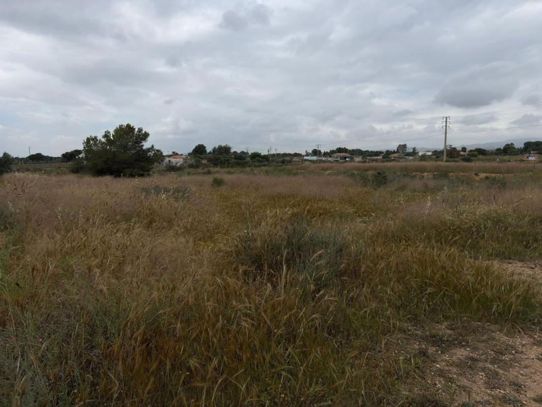 Terreno en venta en San Vicente del Raspeig, Alicante photo 3