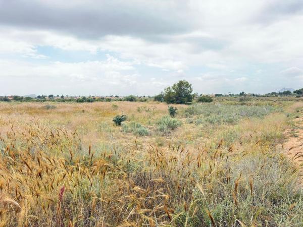 Terreno en Villamontes-Boqueres, San Vicente del Raspeig photo 4