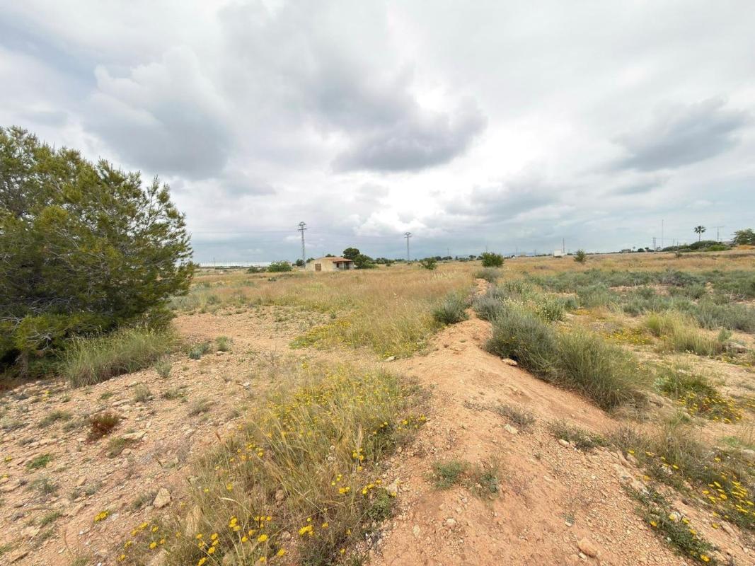 Terreno en venta en San Vicente del Raspeig, Alicante photo 5