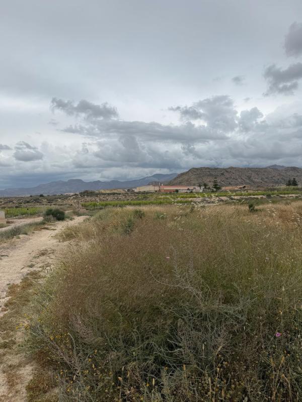 Działka na sprzedaż w Alicante / Alacant, Alicante photo 1