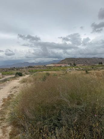 Terreno en Calle de Agost, 1, Carolinas Bajas, Alicante / Alacant photo 1