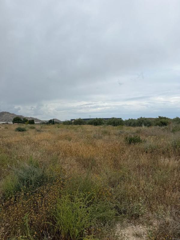 Działka na sprzedaż w Alicante / Alacant, Alicante photo 2