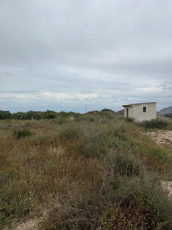 Działka na sprzedaż w Alicante / Alacant, Alicante photo 3