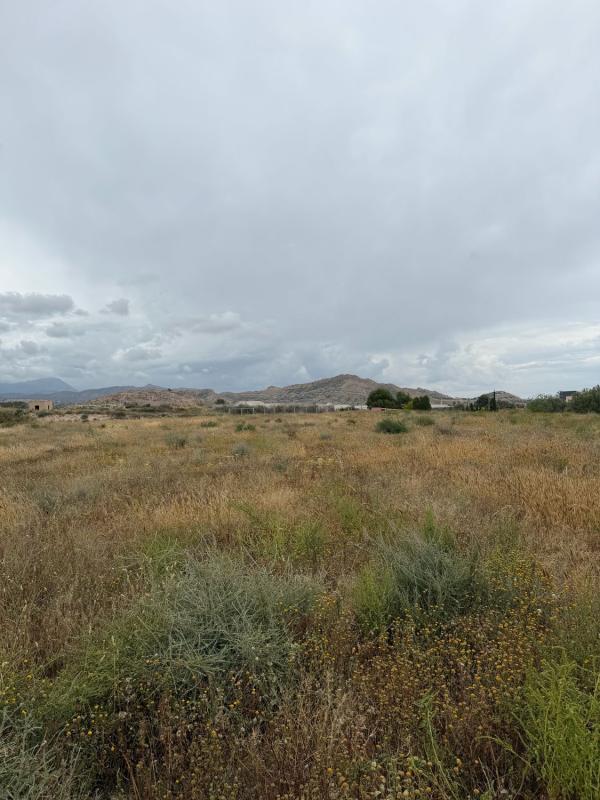 Działka na sprzedaż w Alicante / Alacant, Alicante photo 4