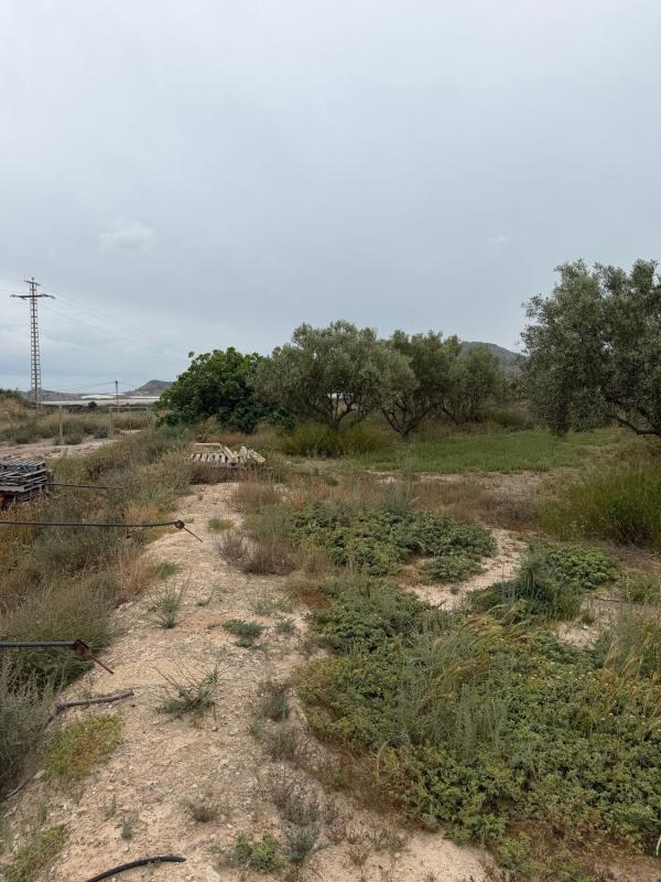 Działka na sprzedaż w Alicante / Alacant, Alicante photo 5