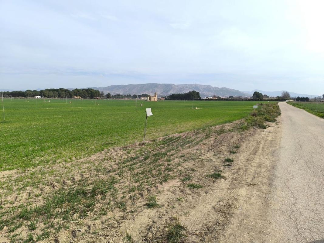 Terreno en venta en Villena, Alicante photo 1