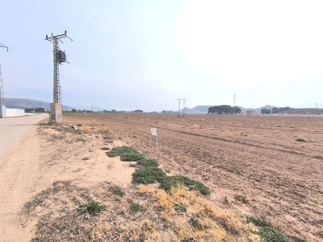 Terreno en venta en Villena, Alicante photo 2