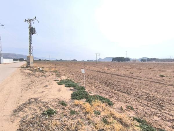 Terreno en El Rabal, Villena thumbnail 1