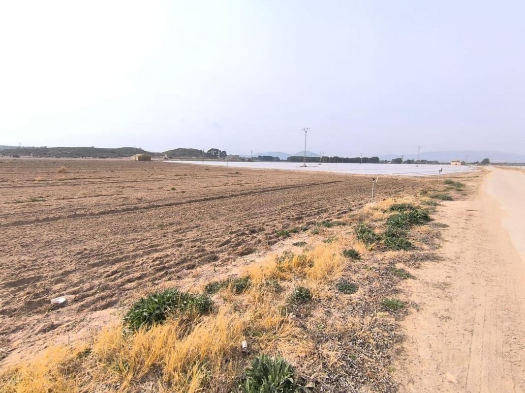 Terreno en venta en Villena, Alicante photo 3