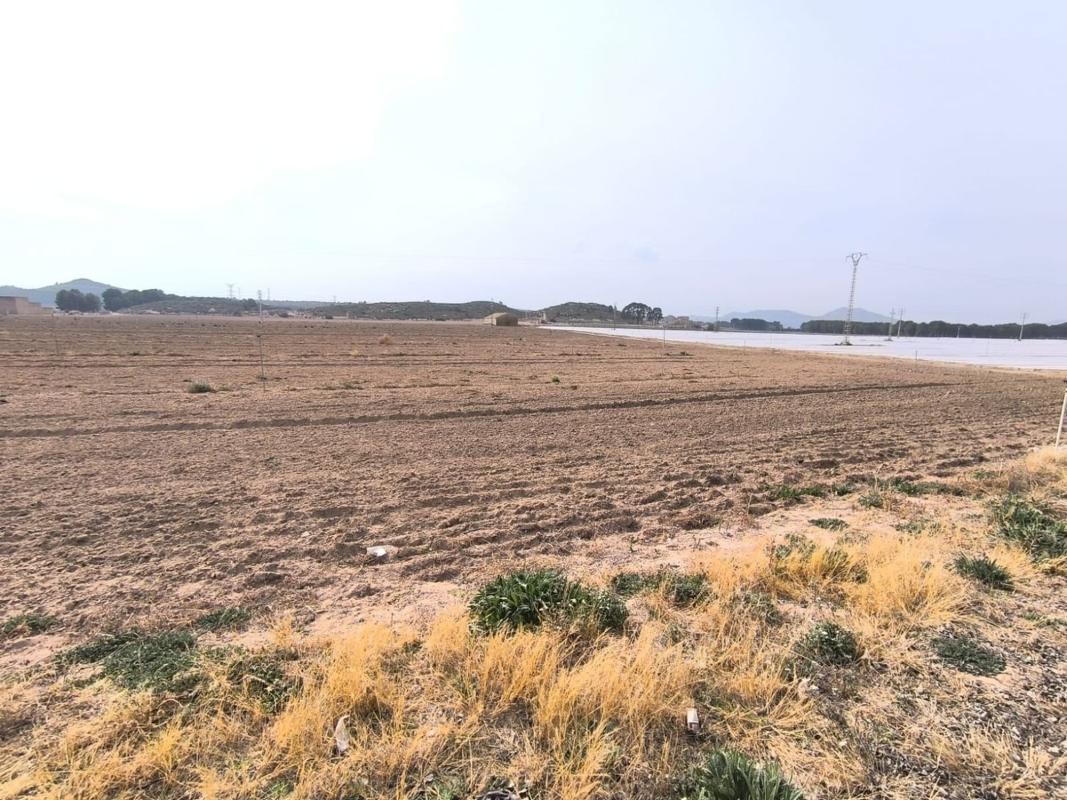 Terreno en venta en Villena, Alicante photo 4
