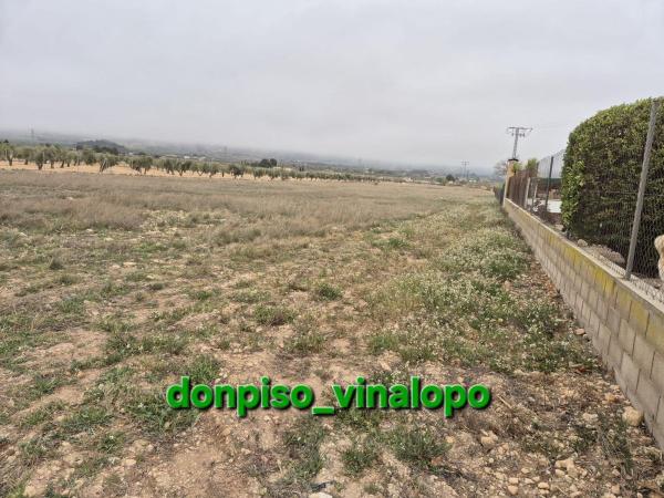 Terreno en San Francisco, Villena photo 2