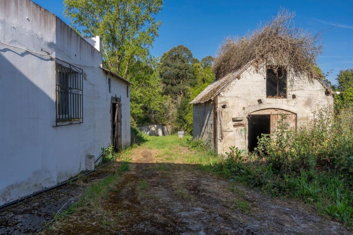 Properties for sale and rent in Spain photo 4