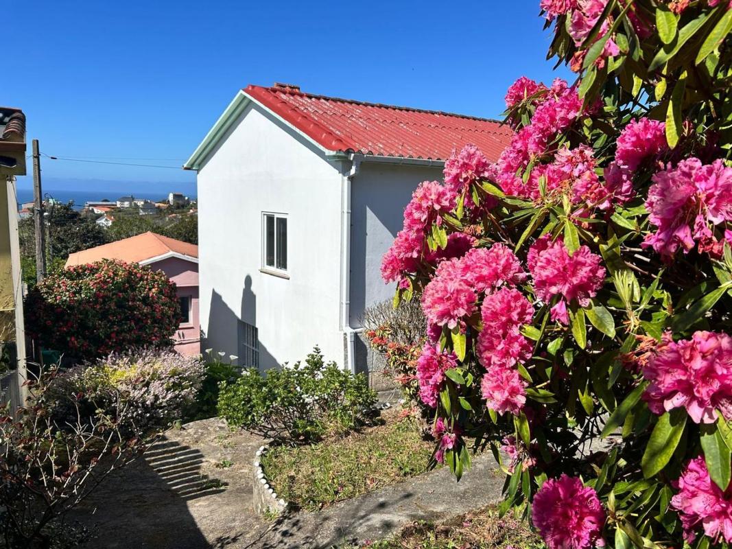 Properties for sale and rent in Spain photo 2