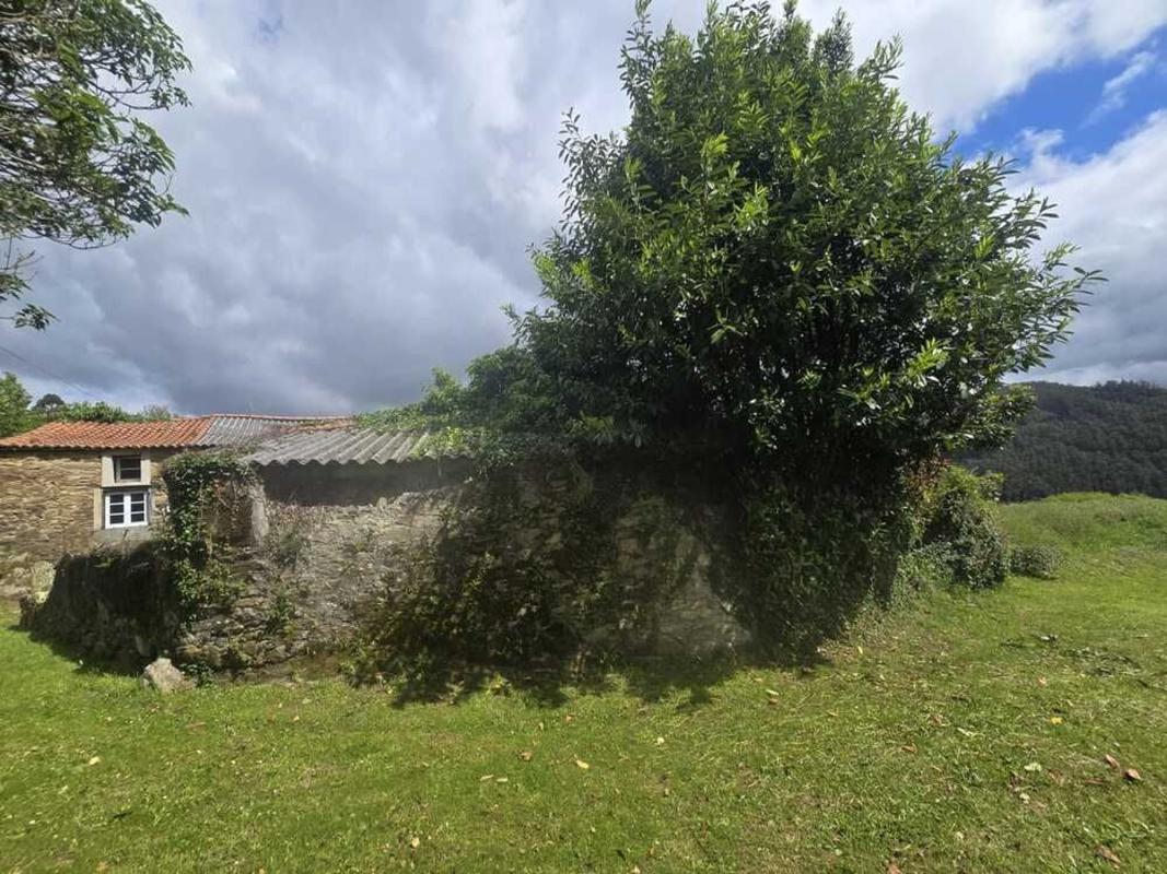 Properties for sale and rent in Spain photo 5