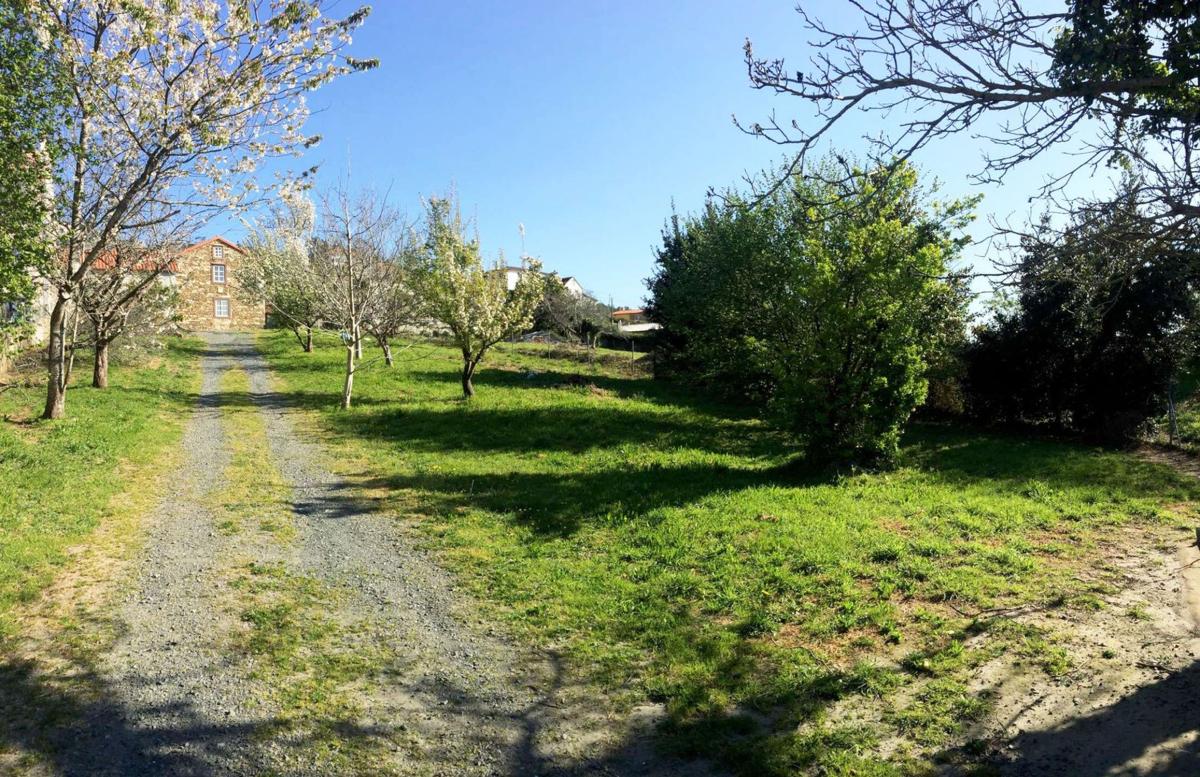 Properties for sale and rent in Spain photo 3