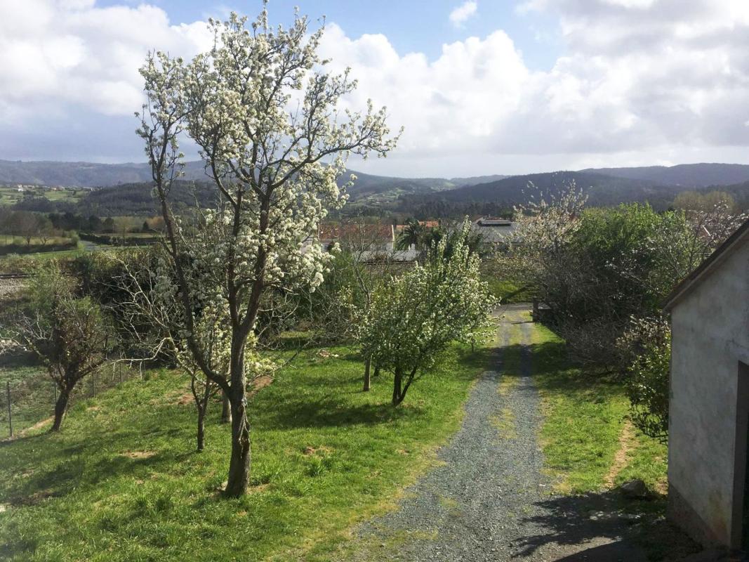 Properties for sale and rent in Spain photo 4