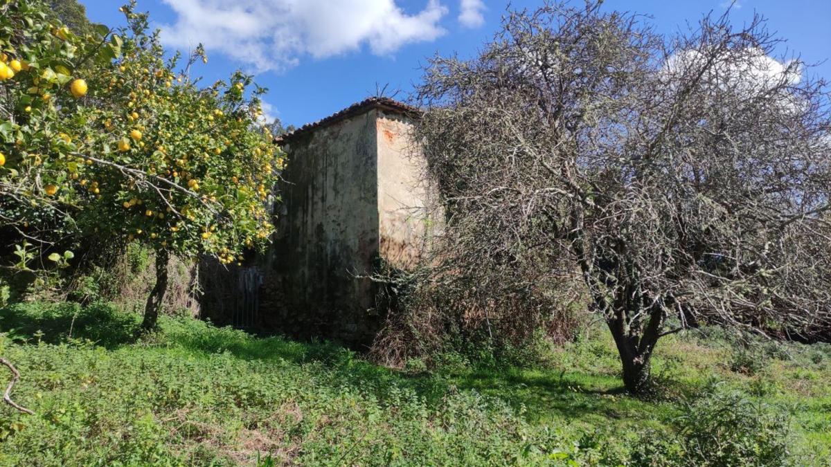 Properties for sale and rent in Spain photo 2