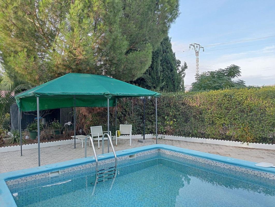 Sale of independent chalet in Casa o chalet en Sax, Sax
photo 2