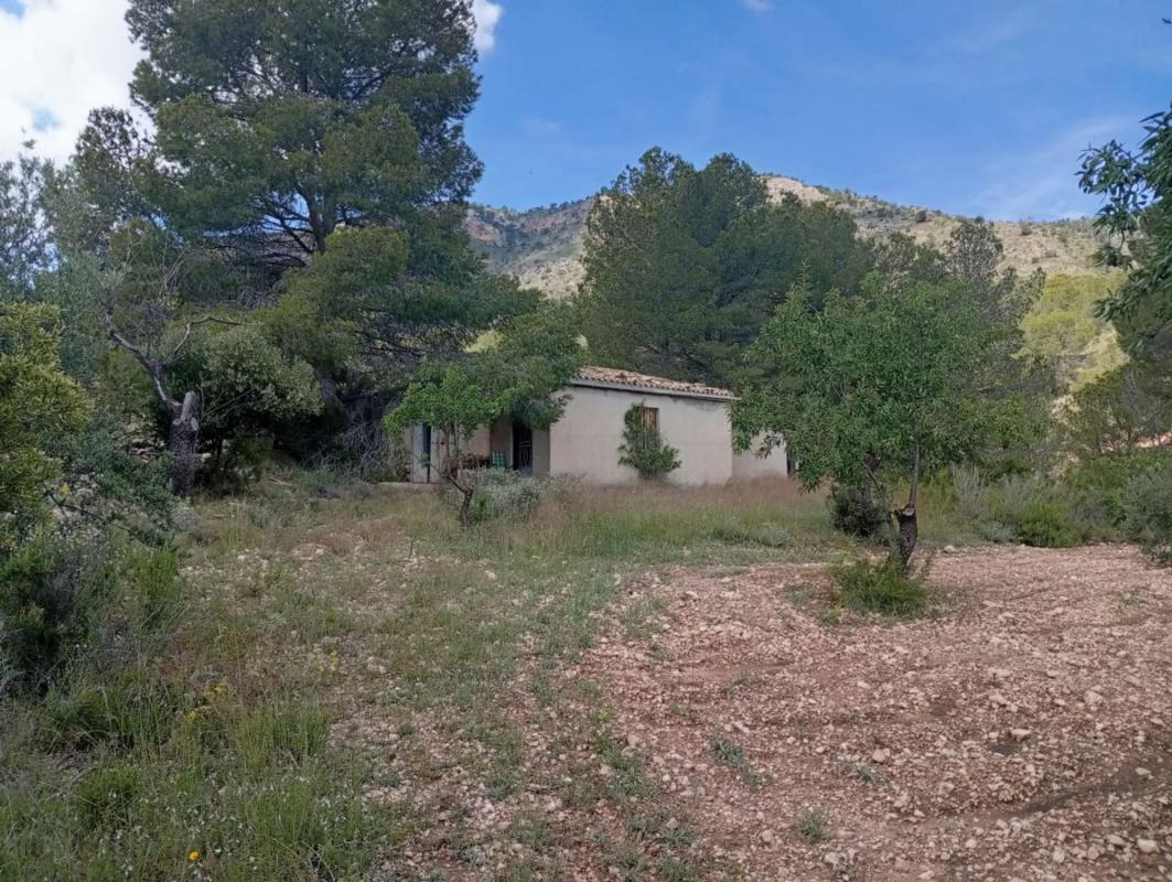 Продажа отдельного шале в Casa o chalet en Calle Maestro Serrano, Salinas, Салинас photo 1