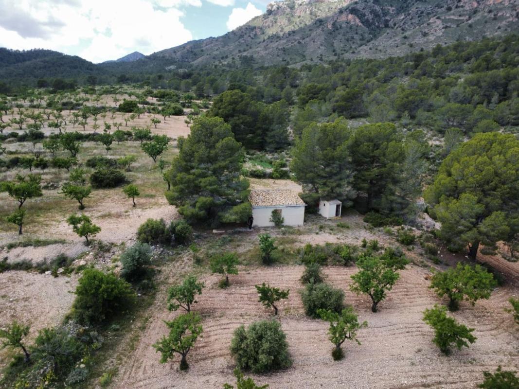 Продажа отдельного шале в Casa o chalet en Calle Maestro Serrano, Salinas, Салинас photo 3