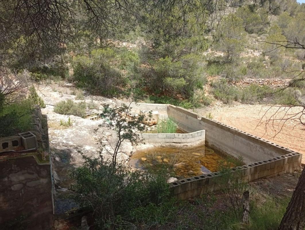 Продажа отдельного шале в Casa o chalet en Calle Maestro Serrano, Salinas, Салинас photo 5