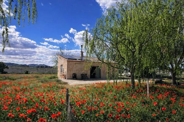 Finca rústica en venta en  Finca rústica en Camino De San Juan, 156, Las Virtudes, Villena , Villena photo 1