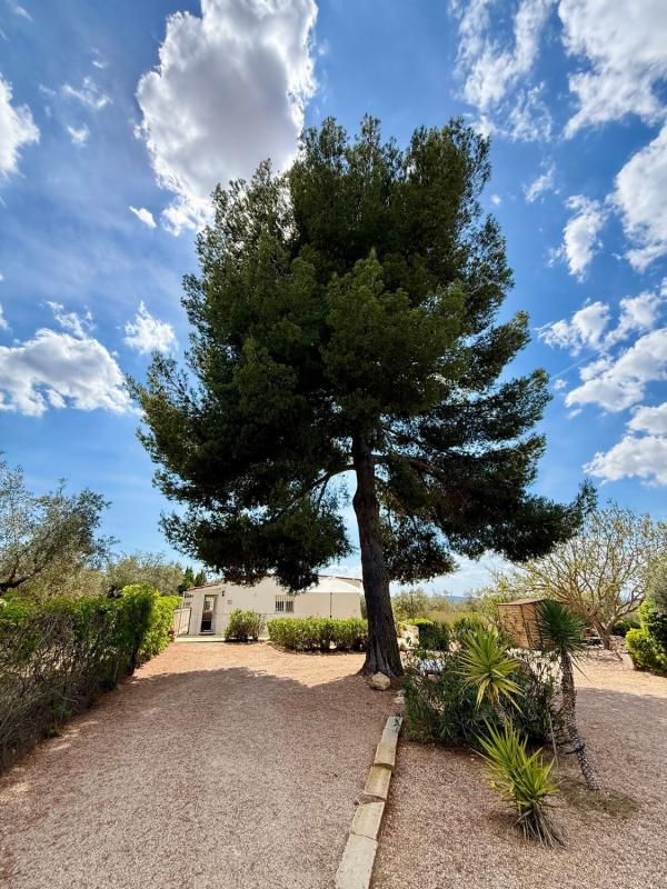 Properties for sale and rent in Spain photo 3