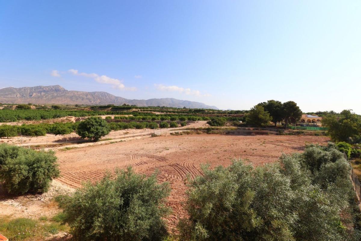 Properties for sale and rent in Spain photo 2