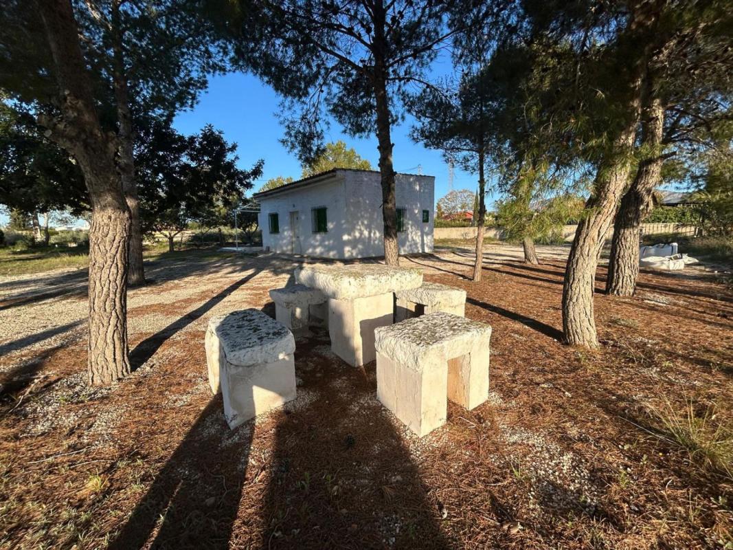 Properties for sale and rent in Spain photo 1