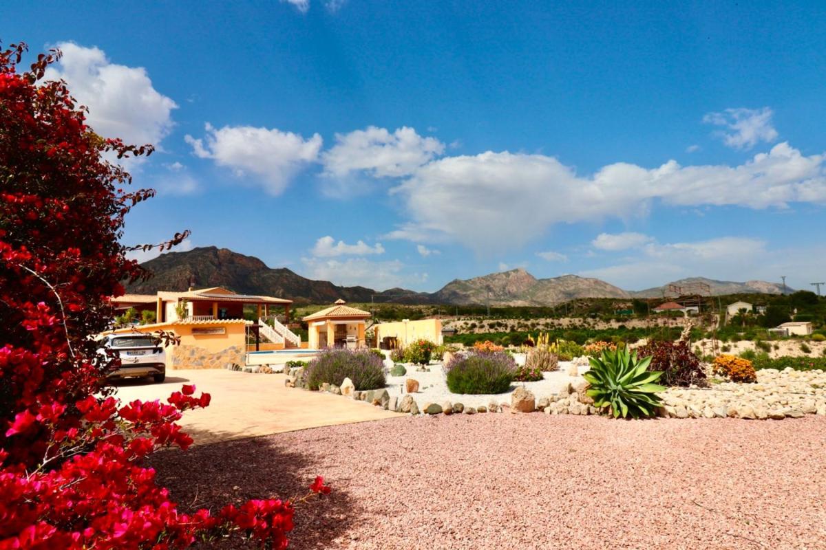 Properties for sale and rent in Spain photo 1
