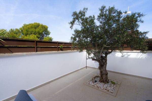 Casa o chalet independiente en Calle Torrevieja, Algorfa photo 4