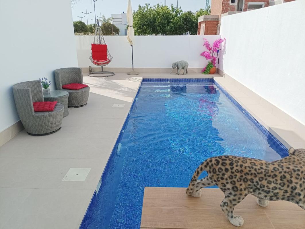 Properties for sale and rent in Spain photo 3