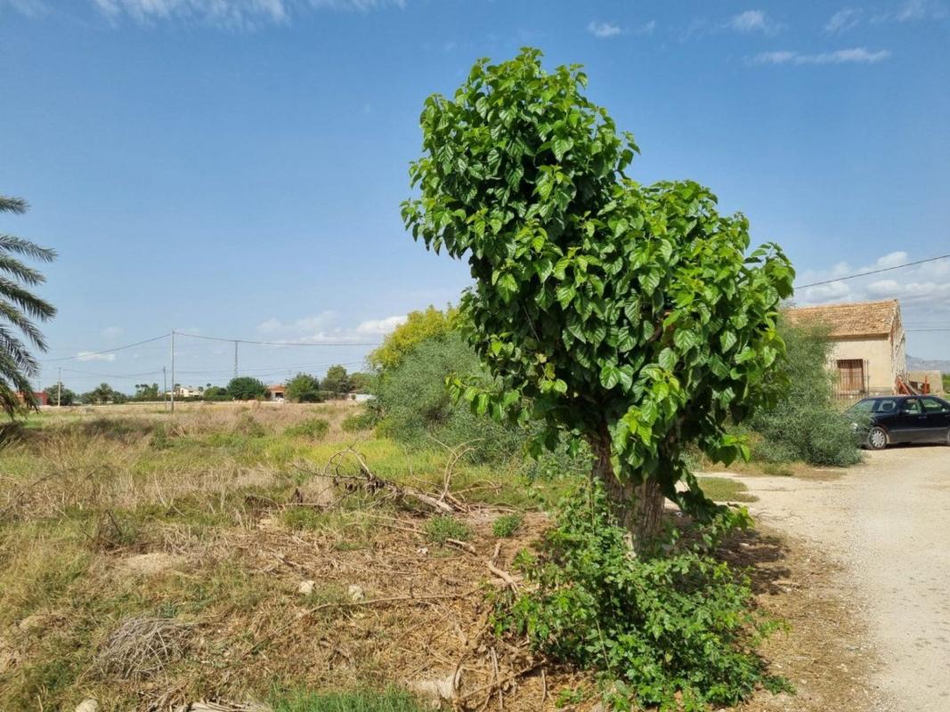 Propiedades en venta y alquiler en España photo 1
