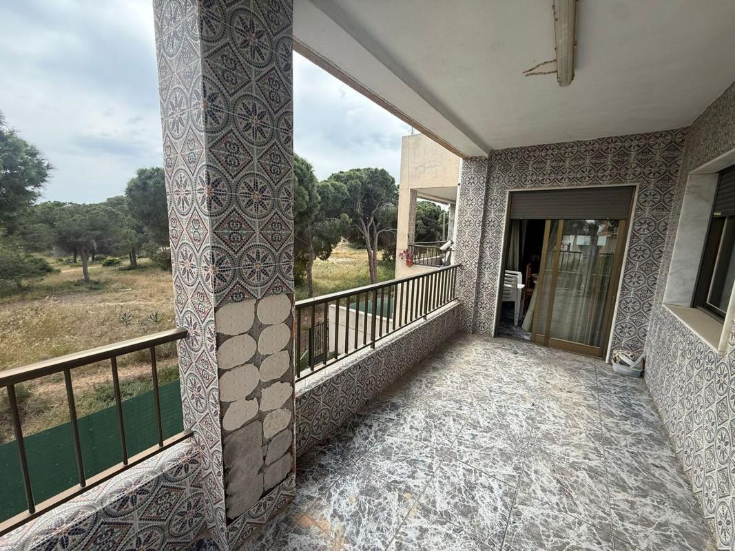 Sale of apartment in Piso en Calle La Traïña, Buenavista, Guardamar del Segura, Guardamar del Segura
photo 3
