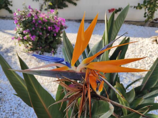 Продажа квартиры на Piso en Denia, La Xara - La Sella - Jesús Pobre, Denia, Дения
 photo 4