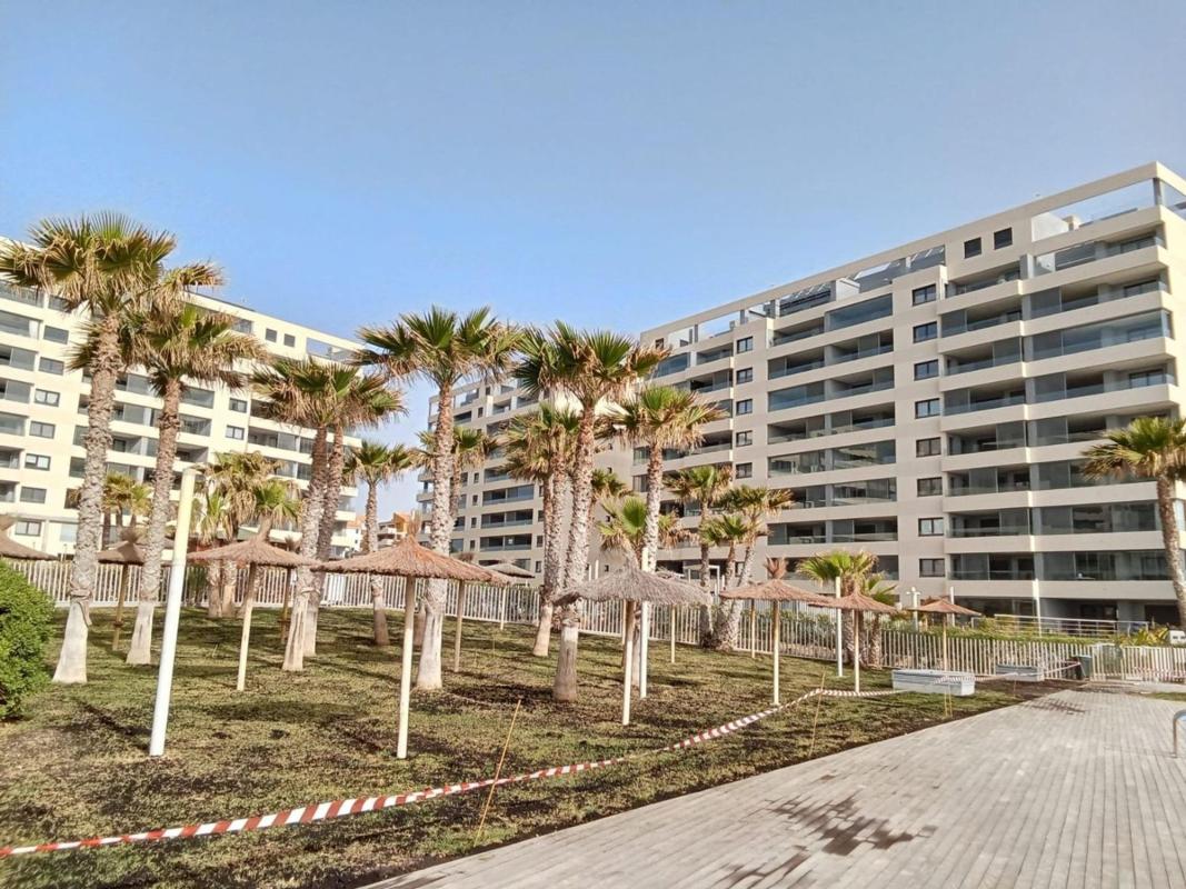 Sale of apartment in Piso en Punta Prima, Orihuela, Orihuela
photo 2