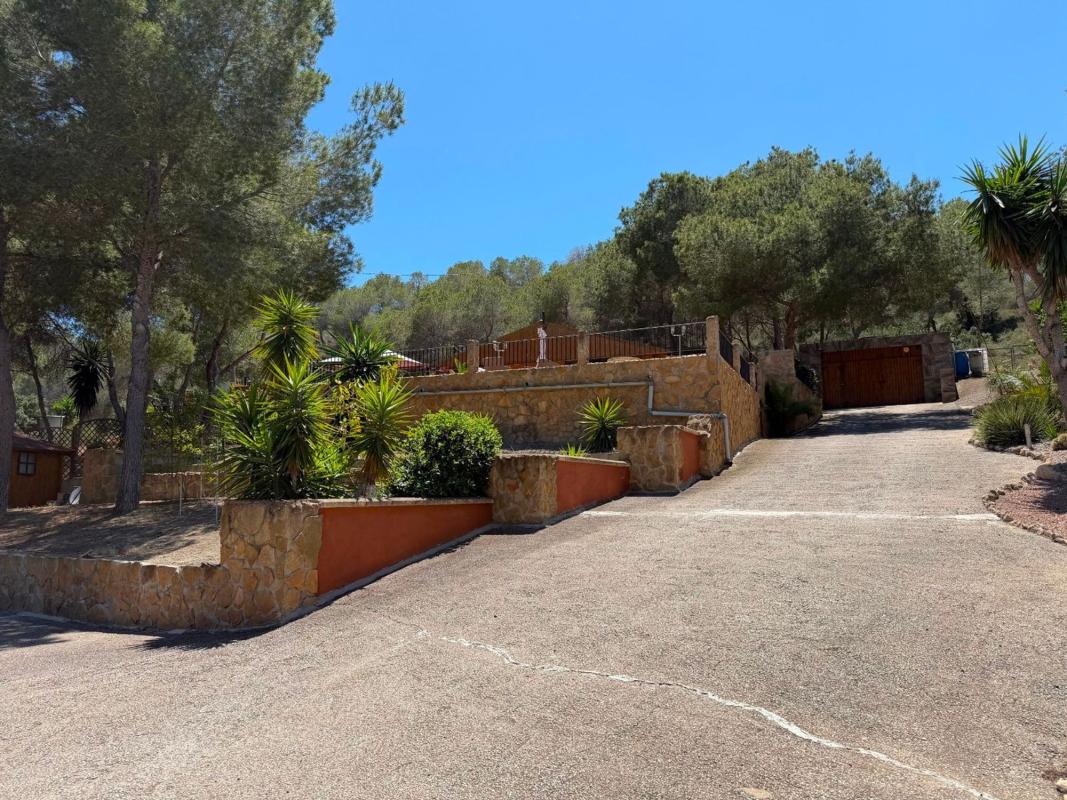 Venta de finca rústica en Finca rústica en Desamparados-Hurchillo-Torremendo, Orihuela , Orihuela photo 1