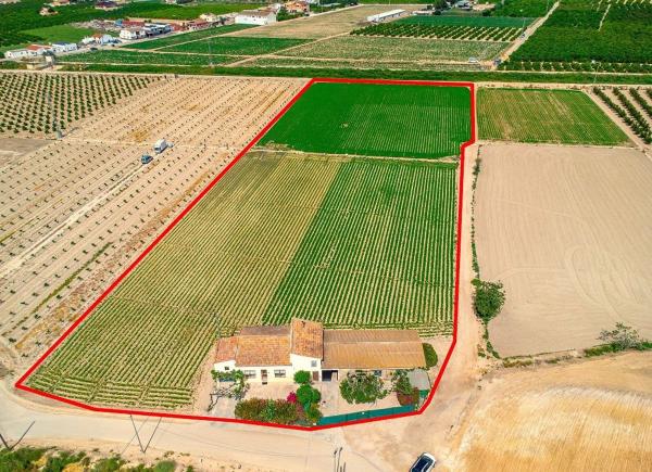 Casa rural en Desamparados-Hurchillo-Torremendo, Orihuela photo 3