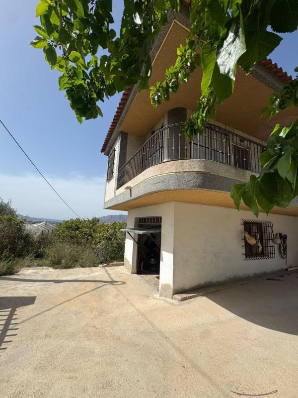 Venta de finca rústica en  Finca rústica en Molins-Campaneta-San Bartolomé, Orihuela , Orihuela photo 4