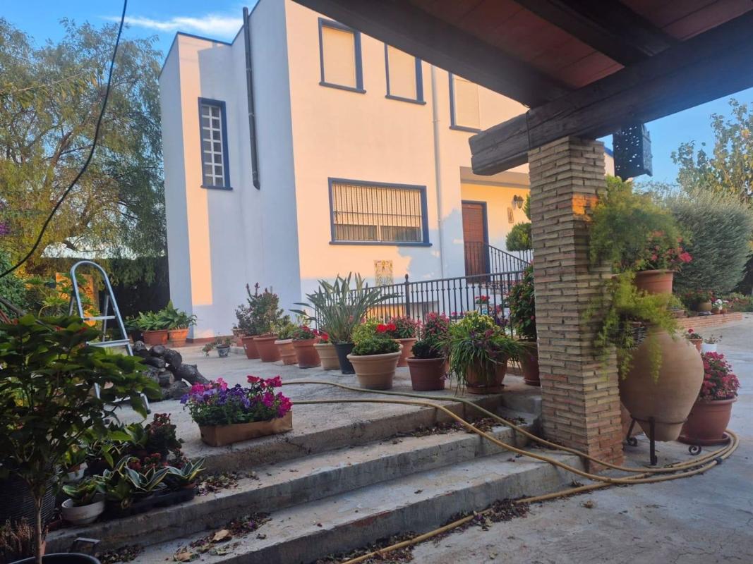 Venta de chalet independiente en Casa o chalet en Molins-Campaneta-San Bartolomé, Orihuela, Orihuela
photo 4
