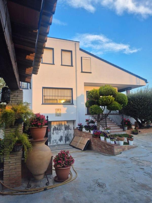 Venta de chalet independiente en Casa o chalet en Molins-Campaneta-San Bartolomé, Orihuela, Orihuela
photo 5