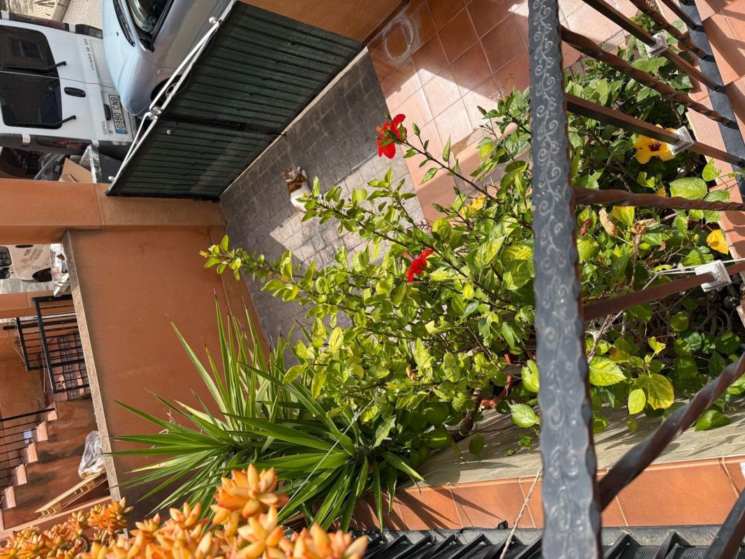 Propiedades en venta y alquiler en España photo 3