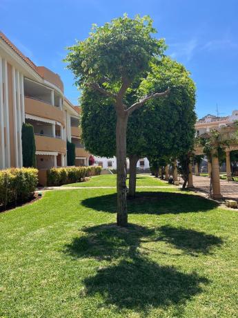 Продажа квартиры на Piso en Les Bovetes-La Felicidad, Denia, Дения
thumbnail 1