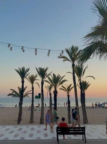Продажа квартиры на Piso en Calle Alcalde Manuel Catalán Chana, 11, Zona Sierra Helada, Benidorm, Бенидорм
 photo 3