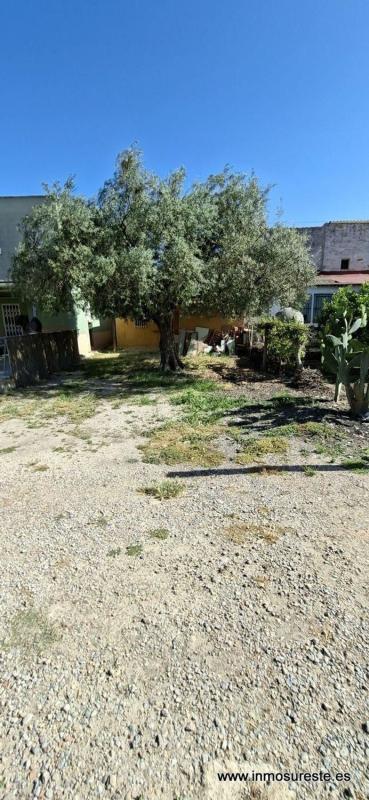 Venta de finca rústica en  Finca rústica en Orihuela Ciudad, Orihuela , Orihuela photo 5