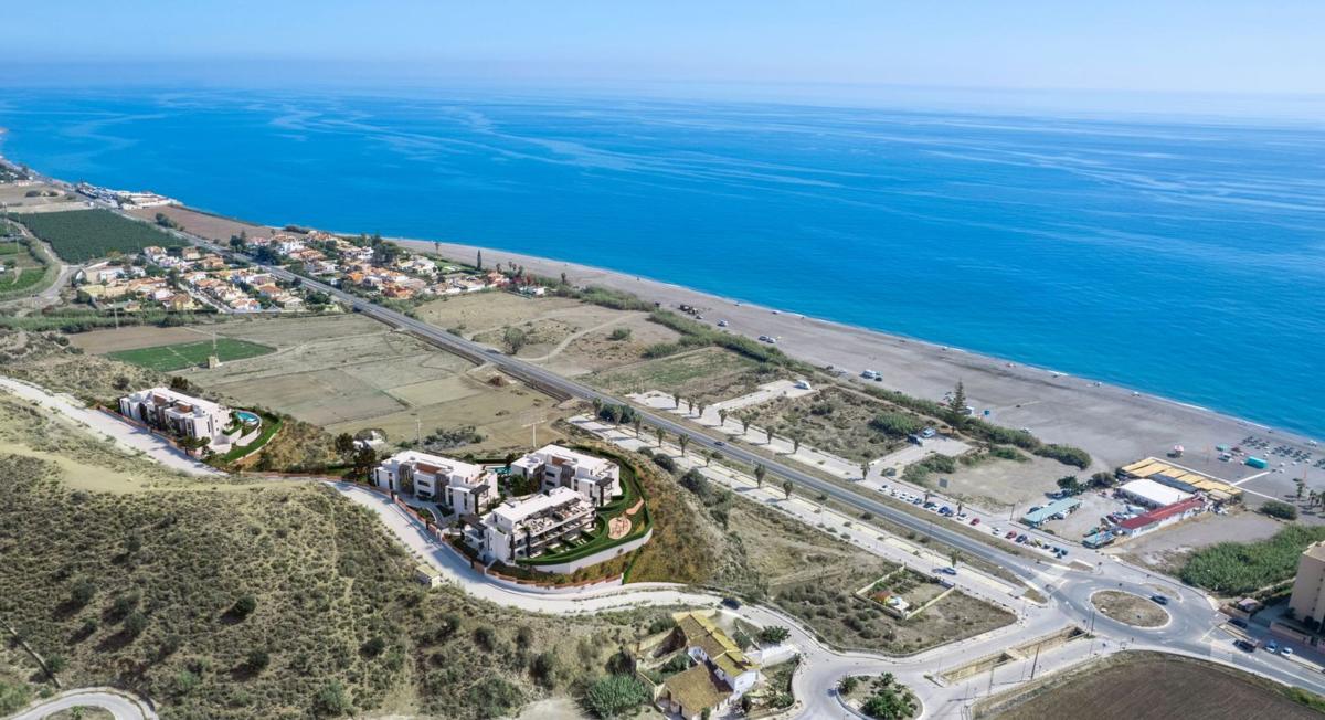 New construction Finca La Plata in Vélez-Málaga photo 4